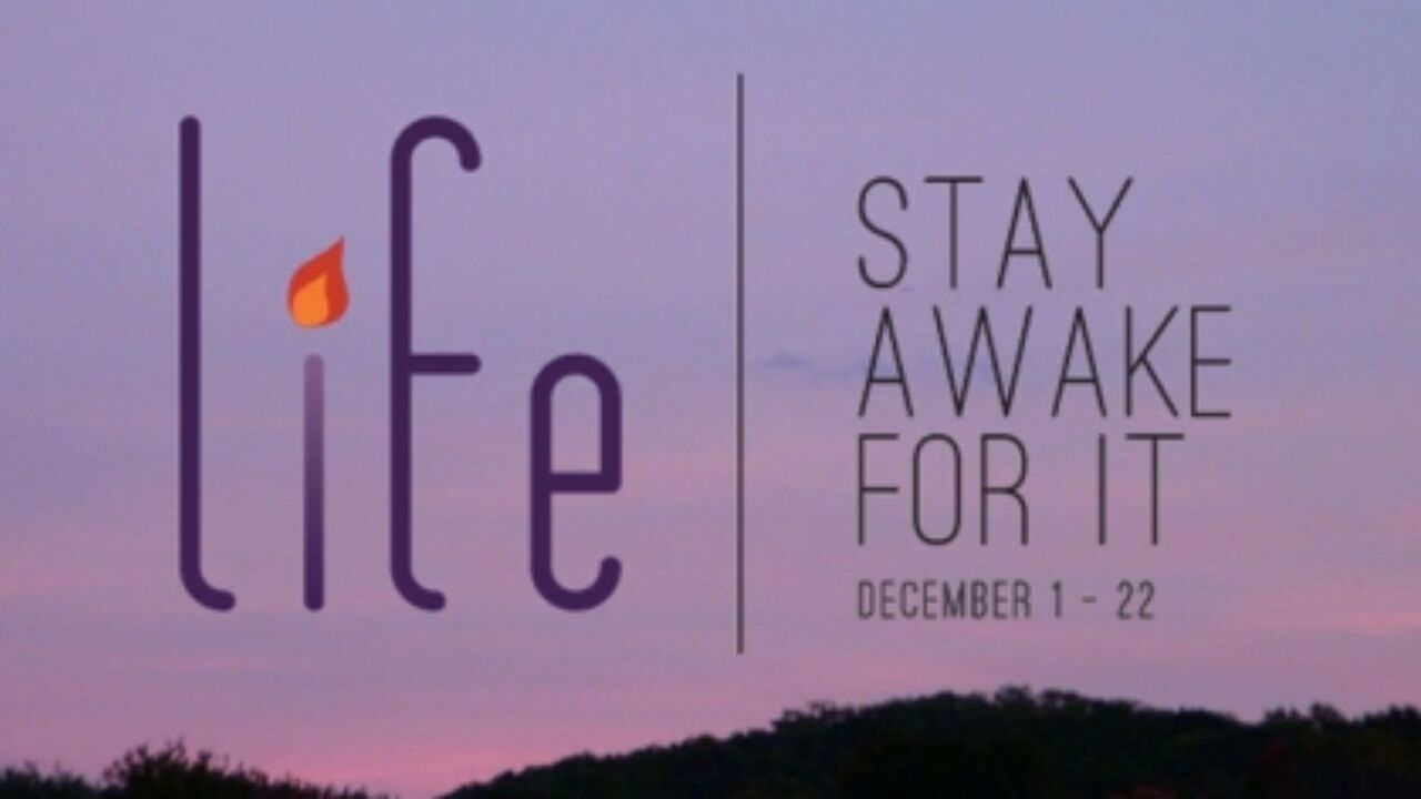 Life: Stay Awake for It