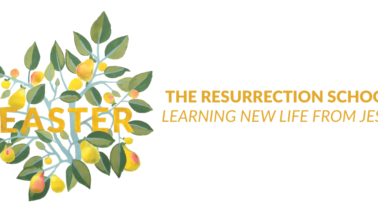 The Resurrection School: Learning New Life from Jesus